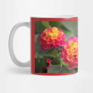 Butterfly Flowers Mug